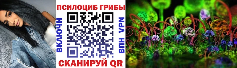 Псилоцибиновые грибы Psilocybine cubensis  дарнет шоп  блэк спрут маркетплейс  Киржач 