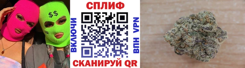 наркотики  Киржач  Конопля гибрид 